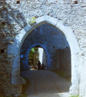 Aggstein (NÖ), Burg