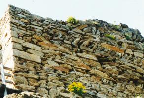 Aggstein (NÖ), Burg