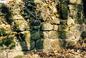 Alt-Gleichenberg (STMK), Burg