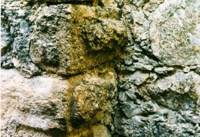 Alt-Rasen (STI), Burg