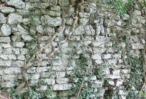 Arnstein (NÖ), Burg