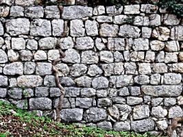 Alt-Wildon (STMK), Burg